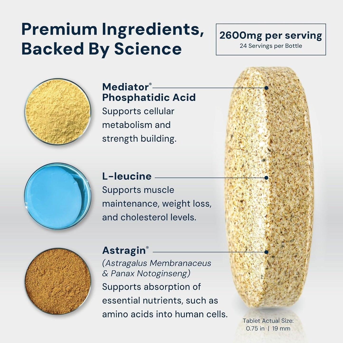 HPN PA(7) Phosphatidic Acid Muscle Builder Top Natural Muscle Builder - Boost mTOR | Build Mass and Strength from Your Workout | 30 Day Supply
