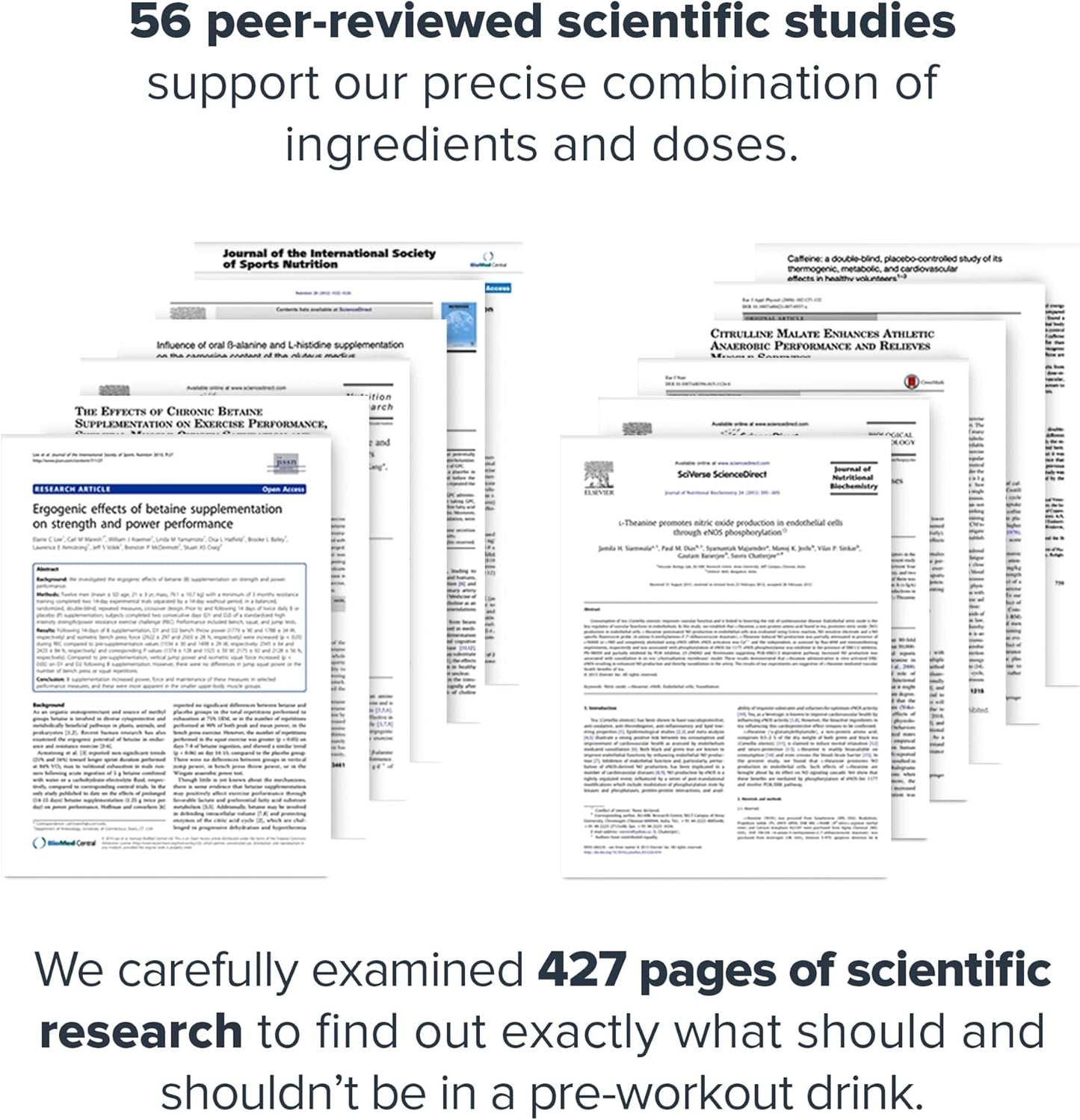 LEGION Pulse Pre Workout Supplement - All Natural Nitric Oxide Preworkout Drink to Boost Energy, Creatine Free, Naturally Sweetened, Beta Alanine, Citrulline, Alpha GPC (Fruit Punch)